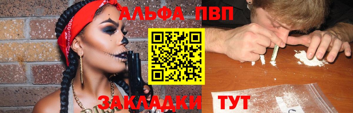 Alfa_PVP СК Луга