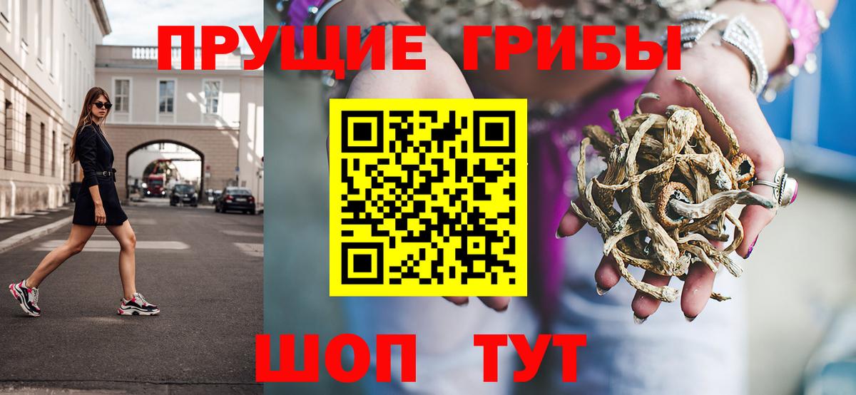 Псилоцибиновые грибы мицелий Луга