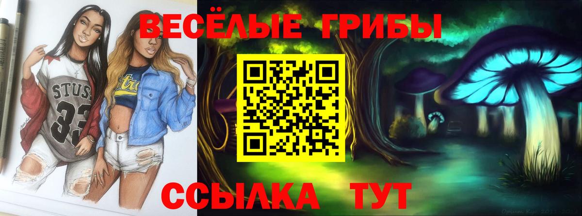 Галлюциногенные грибы мухоморы  Вход с VPN  Галлюциногенные грибы Psilocybine cubensis  Луга 